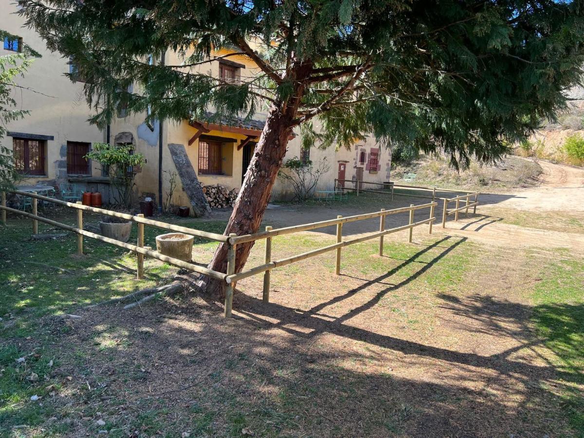 Ca L'Herbolari - Cozy Newly Renovated House Ca L'Herbolari Viladrau Zewnętrze zdjęcie